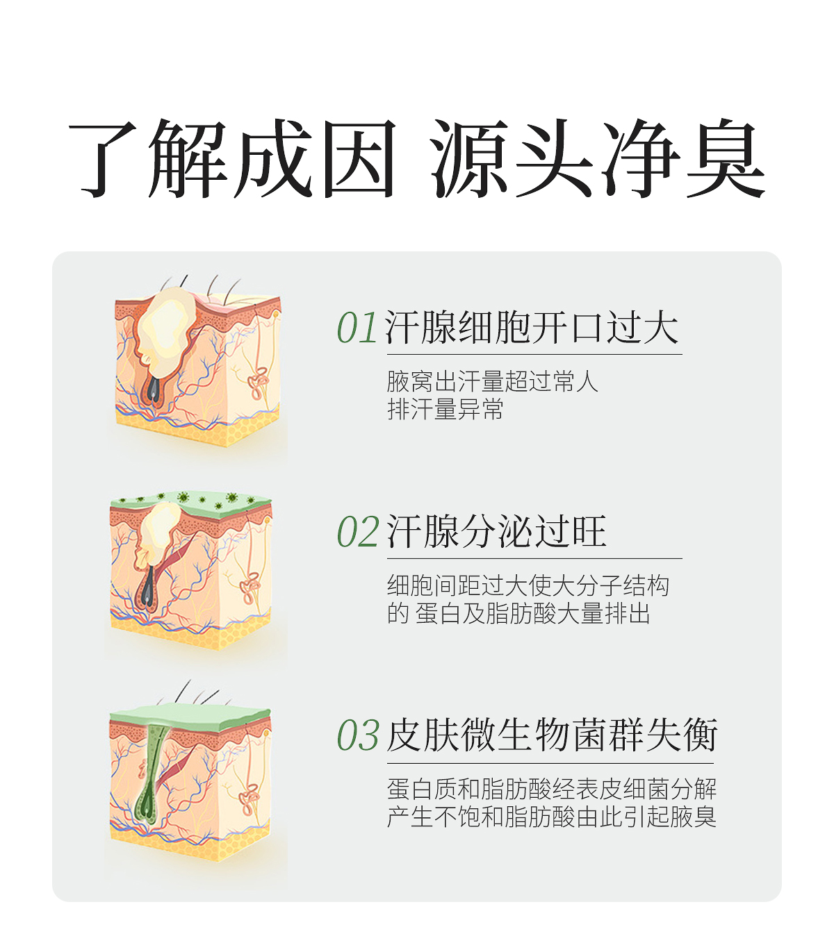 沁新净致精华液官网详情_05.jpg