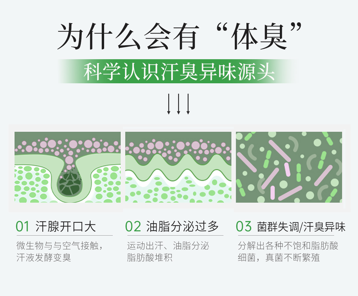 植萃净爽喷雾官网详情页_04.jpg