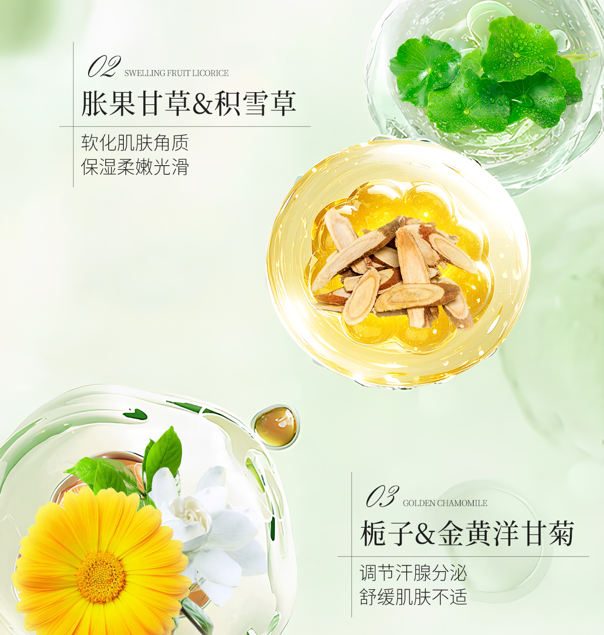 植萃净爽喷雾官网详情页_12.jpg